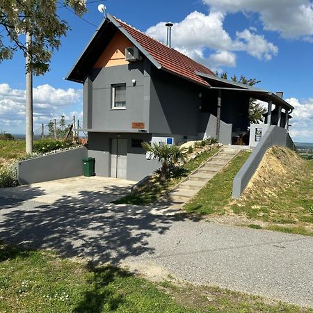 Kuca Za Odmor Mare Villa Sveti Martin Na Muri Luaran gambar