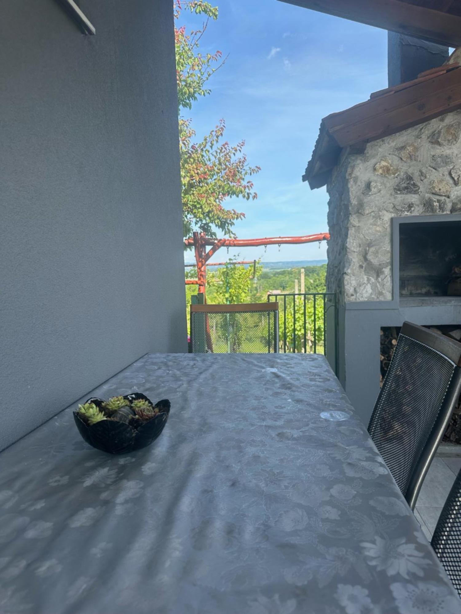Kuca Za Odmor Mare Villa Sveti Martin Na Muri Luaran gambar