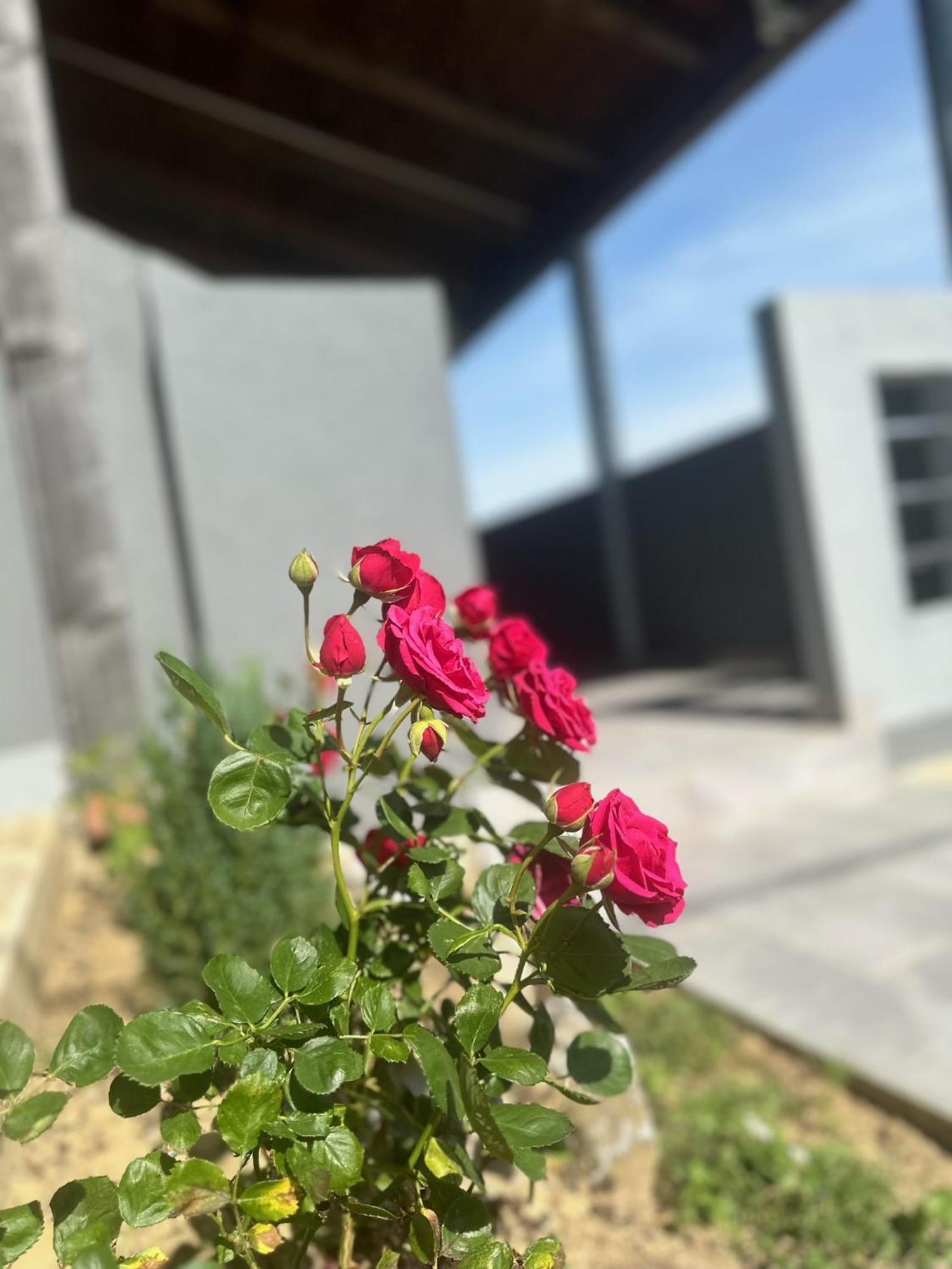 Kuca Za Odmor Mare Villa Sveti Martin Na Muri Luaran gambar