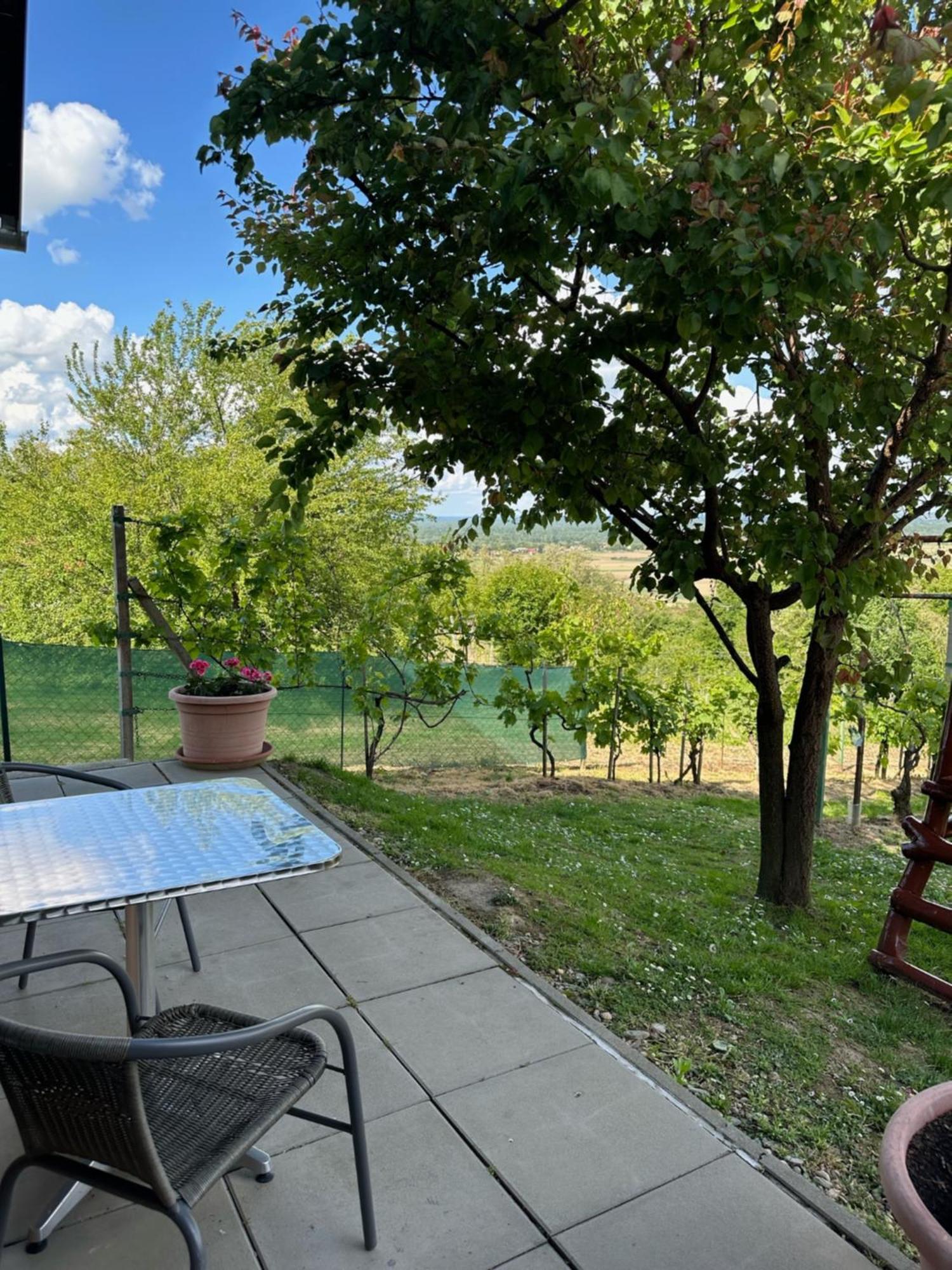 Kuca Za Odmor Mare Villa Sveti Martin Na Muri Luaran gambar