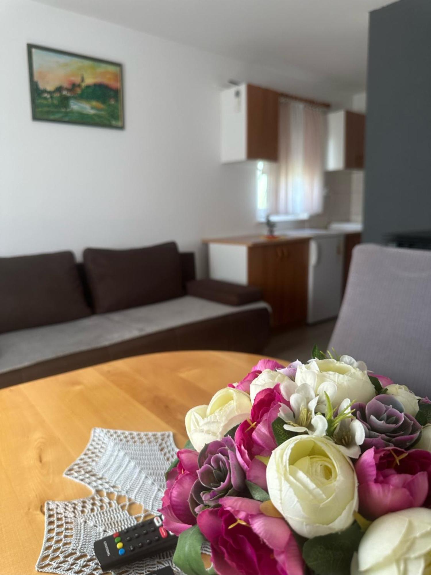 Kuca Za Odmor Mare Villa Sveti Martin Na Muri Luaran gambar